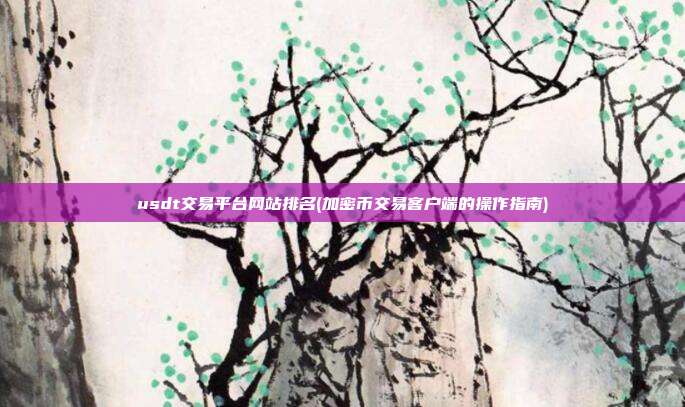 usdt交易平台网站排名(加密币交易客户端的操作指南)