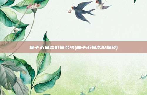 柚子币最高价是多少(柚子币最高价提及)