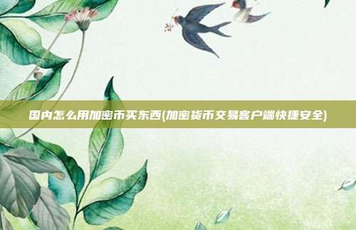 国内怎么用加密币买东西(加密货币交易客户端快捷安全)