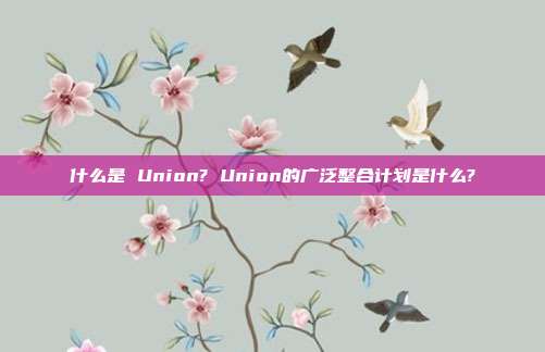 什么是 Union? Union的广泛整合计划是什么?