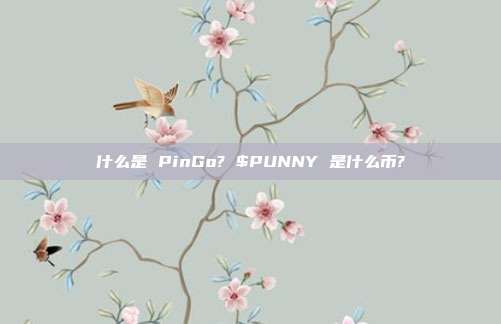 什么是 PinGo? $PUNNY 是什么币?