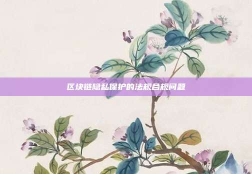 区块链隐私保护的法规合规问题