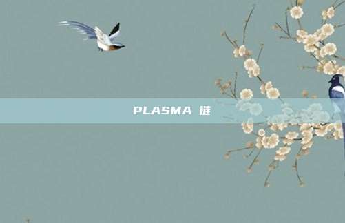 PLASMA 链