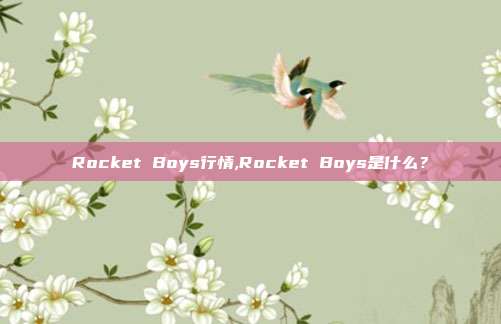 Rocket Boys行情,Rocket Boys是什么？