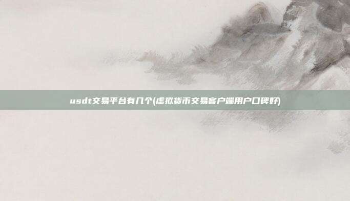 usdt交易平台有几个(虚拟货币交易客户端用户口碑好)